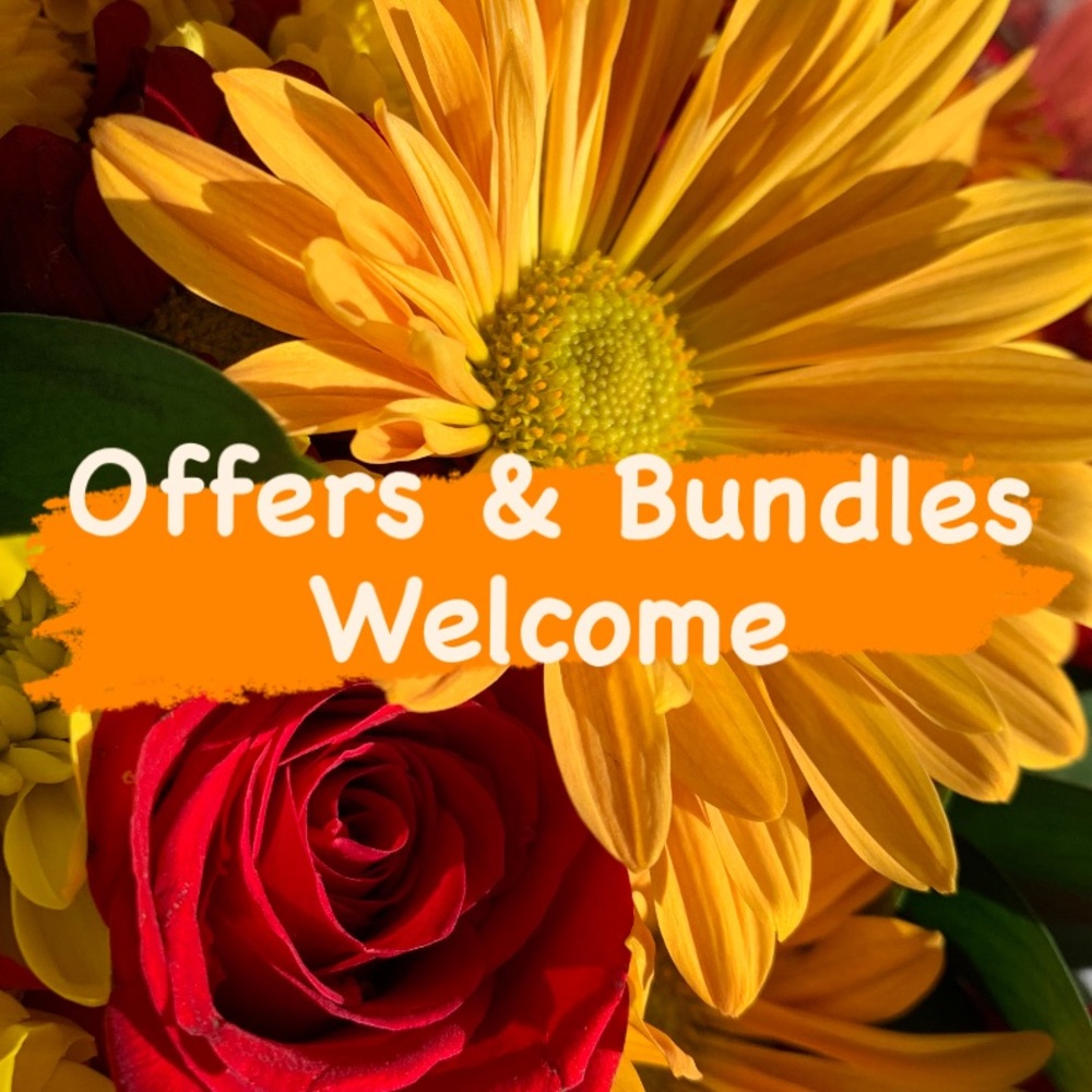 Offers & Bundles Welcome!